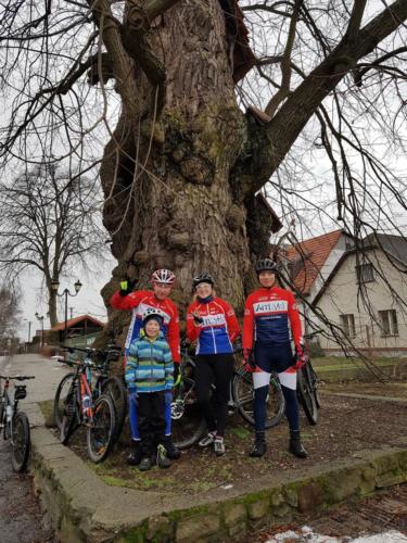 49099470 773829089636625 4435891761461592064 n